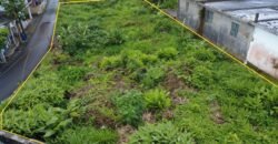 Land for sale in Nouvelle France