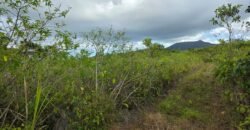 Agricultural land for sale in Bois Cheri