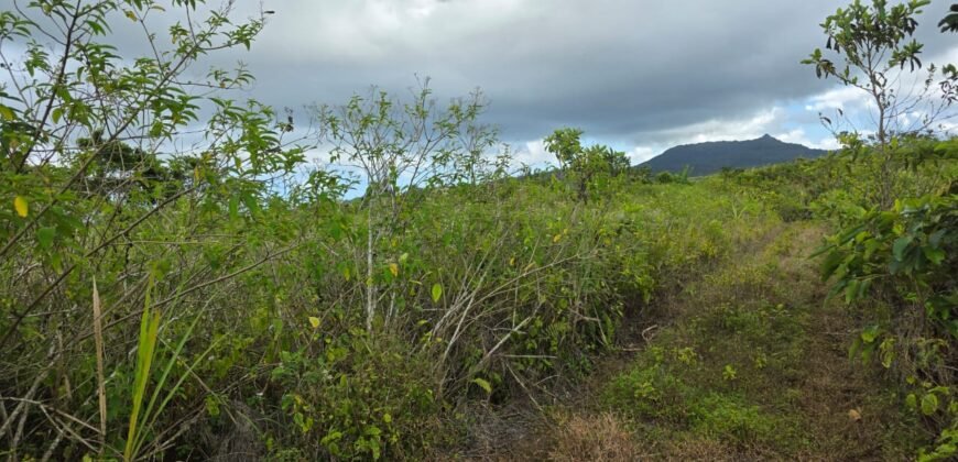 Agricultural land for sale in Bois Cheri