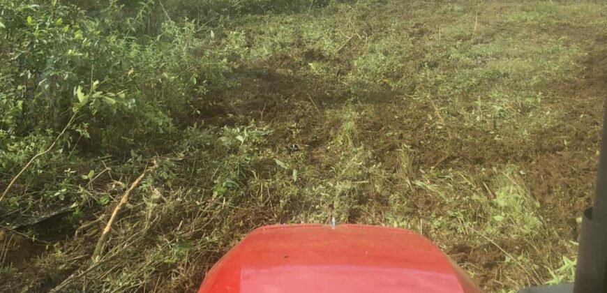 Agricultural land for sale in Bois Cheri