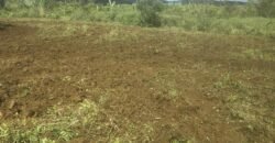 Agricultural land for sale in Bois Cheri