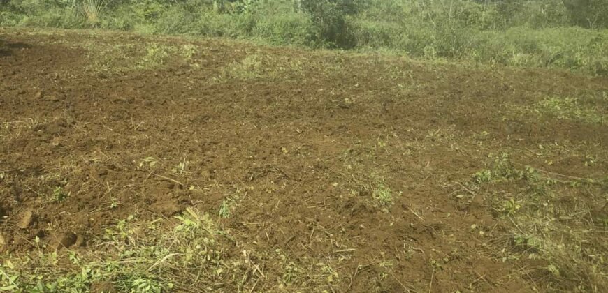 Agricultural land for sale in Bois Cheri