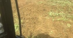 Agricultural land for sale in Bois Cheri