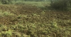 Agricultural land for sale in Bois Cheri