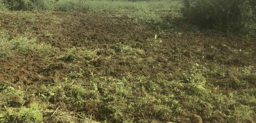 Agricultural land for sale in Bois Cheri