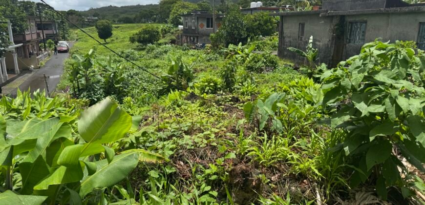 Land for sale in Nouvelle France