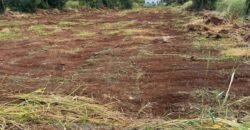 LAND FOR SALE — Pointe aux Piments