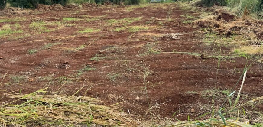 LAND FOR SALE — Pointe aux Piments