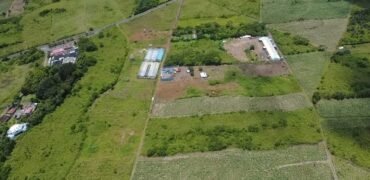 Agricultural Land for Sale – Melrose