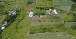 Agricultural Land for Sale – Melrose