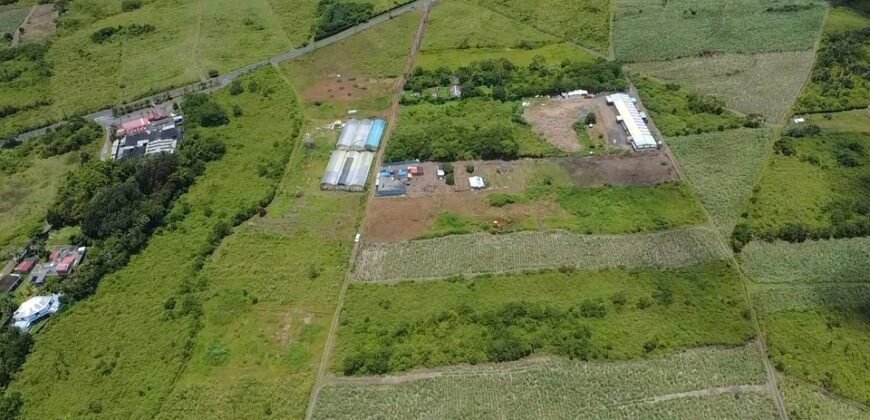 Agricultural Land for Sale – Melrose