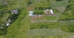 Agricultural Land for Sale – Melrose