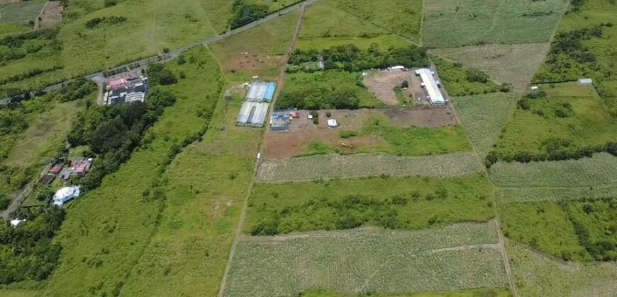 Agricultural Land for Sale – Melrose