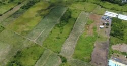 Agricultural Land for Sale – Melrose