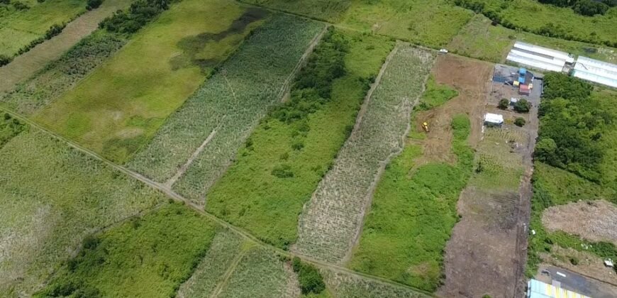 Agricultural Land for Sale – Melrose