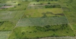 Agricultural Land for Sale – Melrose