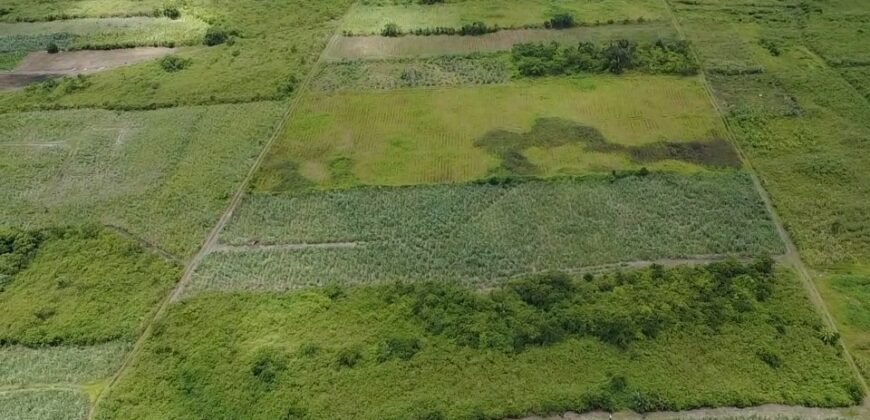 Agricultural Land for Sale – Melrose