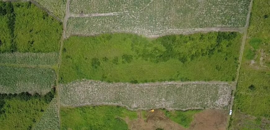 Agricultural Land for Sale – Melrose