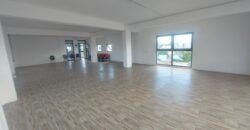 PREMIUM COMMERCIAL SPACES FOR RENT – LA LOUISE