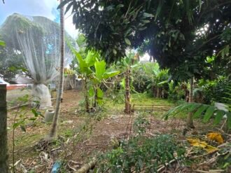 LAND FOR SALE – VACOAS–PHOENIX