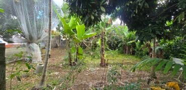 LAND FOR SALE – VACOAS–PHOENIX