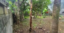 LAND FOR SALE – VACOAS–PHOENIX