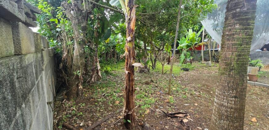 LAND FOR SALE – VACOAS–PHOENIX