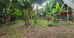 LAND FOR SALE – VACOAS–PHOENIX