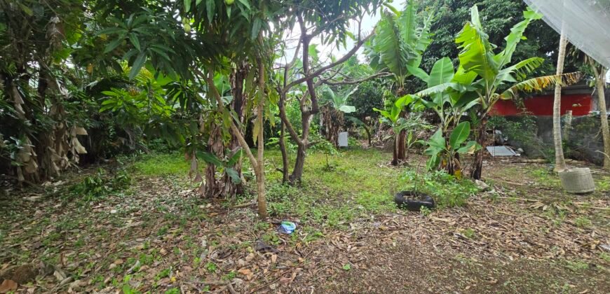 LAND FOR SALE – VACOAS–PHOENIX