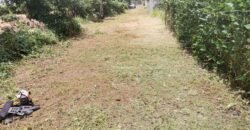 Residential Land for Sale – Palma, Quatre Bornes