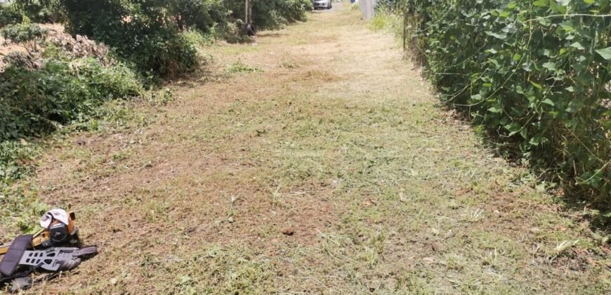 Residential Land for Sale – Palma, Quatre Bornes