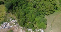 Agricultural land for sale