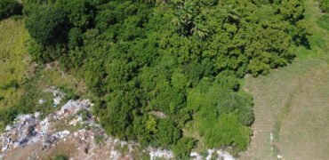 Agricultural land for sale