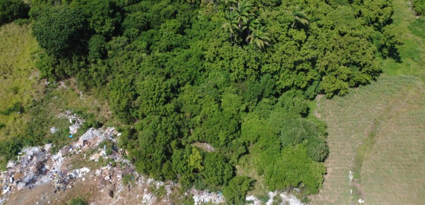 Agricultural land for sale