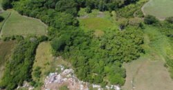 Agricultural land for sale