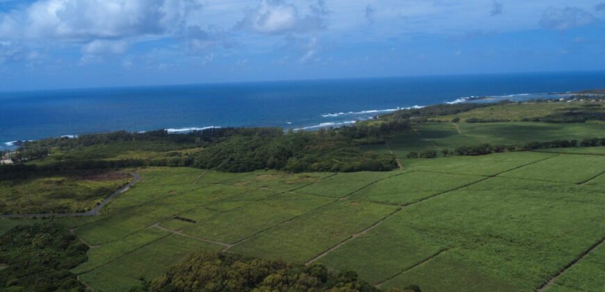 Agricultural land for sale