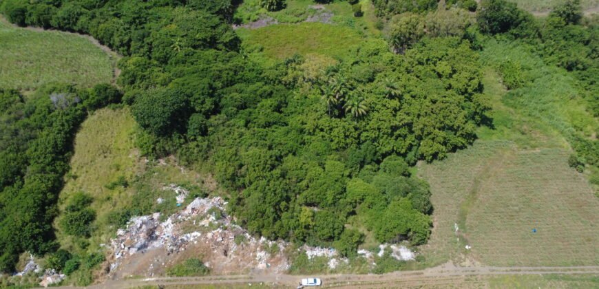 Agricultural land for sale