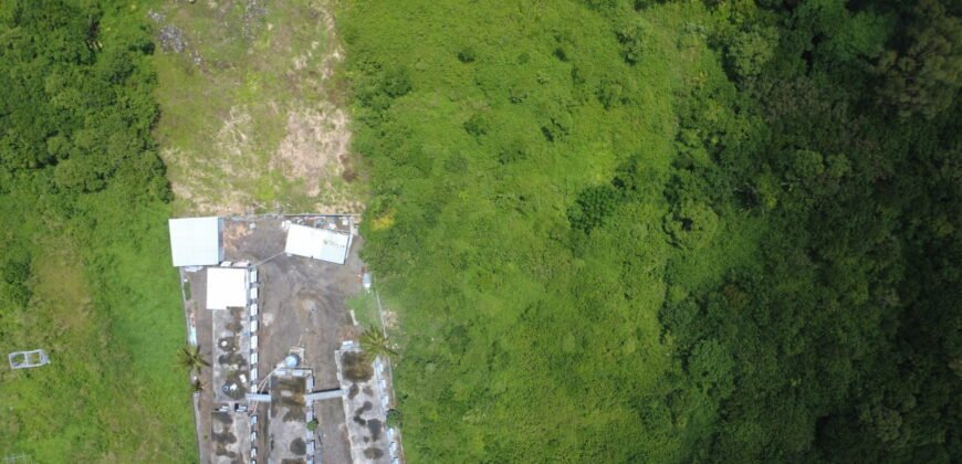 AGRICULTURAL LAND FOR SALE – BRISÉE VERDIÈRE