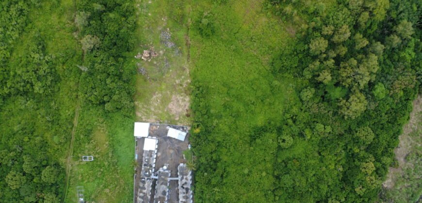 AGRICULTURAL LAND FOR SALE – BRISÉE VERDIÈRE