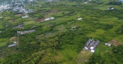 AGRICULTURAL LAND FOR SALE – BRISÉE VERDIÈRE