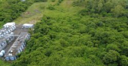 AGRICULTURAL LAND FOR SALE – BRISÉE VERDIÈRE