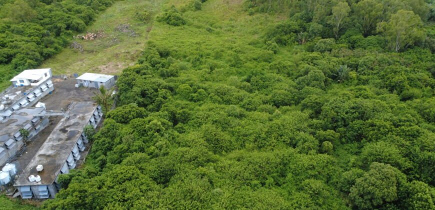 AGRICULTURAL LAND FOR SALE – BRISÉE VERDIÈRE