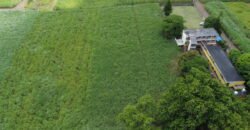 agricultural land for sale in Grande Retraite