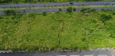 2 Residential Plots for Sale – Rose Belle