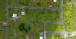 2 Residential Plots for Sale – Rose Belle
