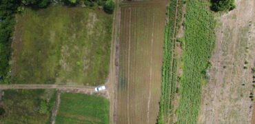 Agricultural land available in Riche Mare