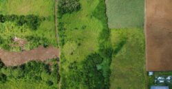 Agricultural Land for Sale – Bois Chéri