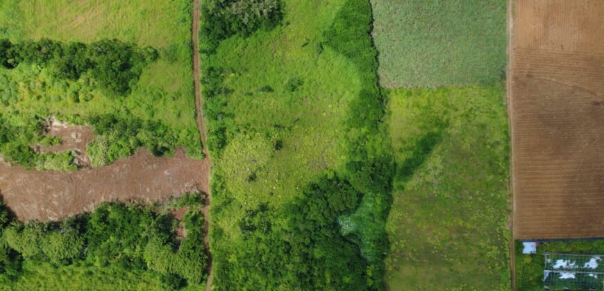 Agricultural Land for Sale – Bois Chéri