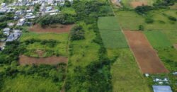 Agricultural Land for Sale – Bois Chéri