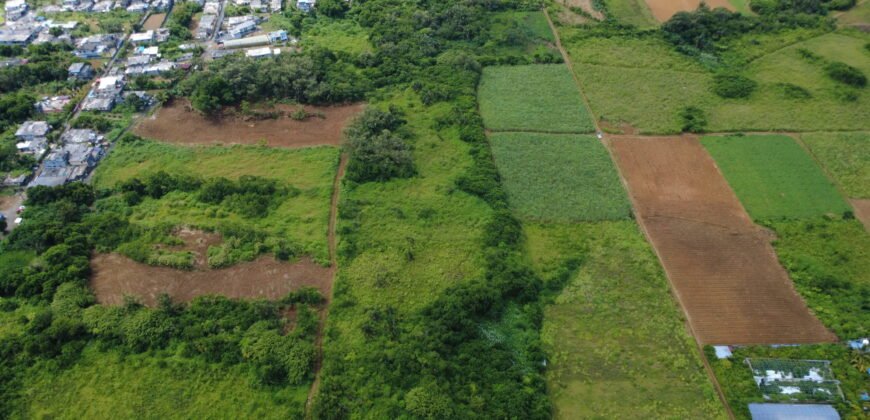 Agricultural Land for Sale – Bois Chéri